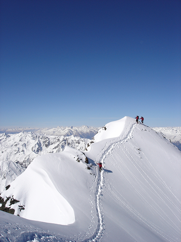 (C) 2023 - Steepdocs
